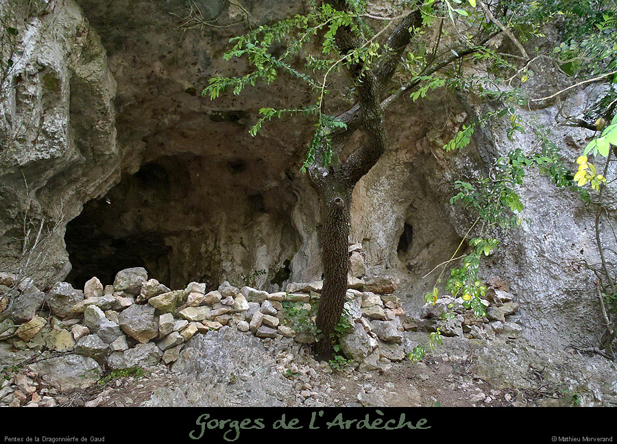 20130602_pentes_dragonnieregaud_baume