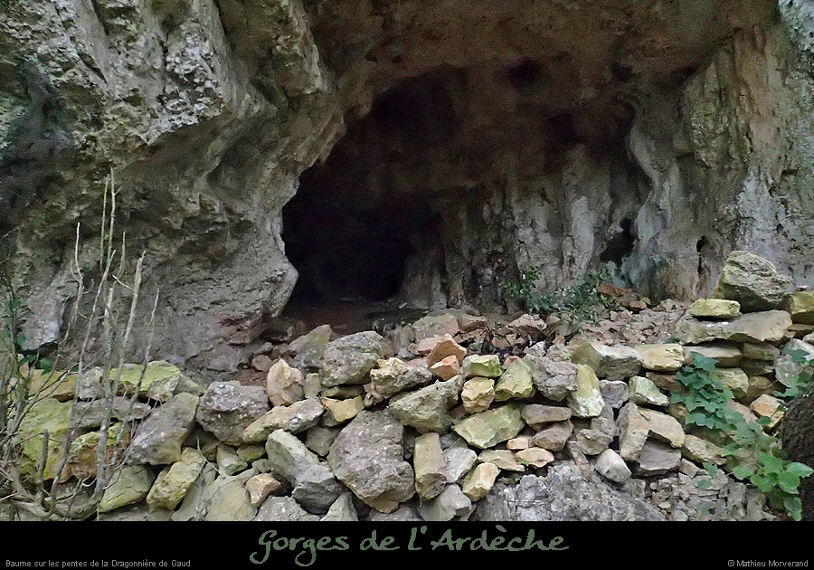 20160103_pentesdragonnierebaume1
