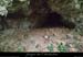 20160103_pentesdragonnierebaume4