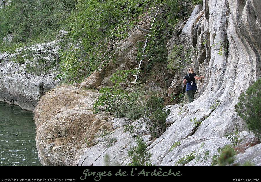 20060812_gaudsource