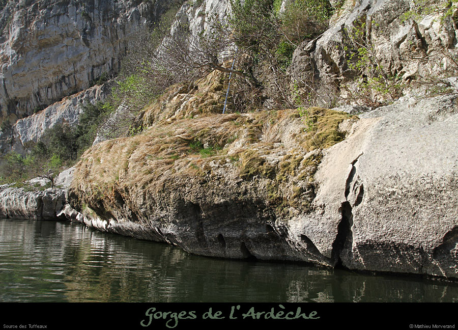 20120401_tuffeaux