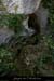 20110427_tuffeaux_source