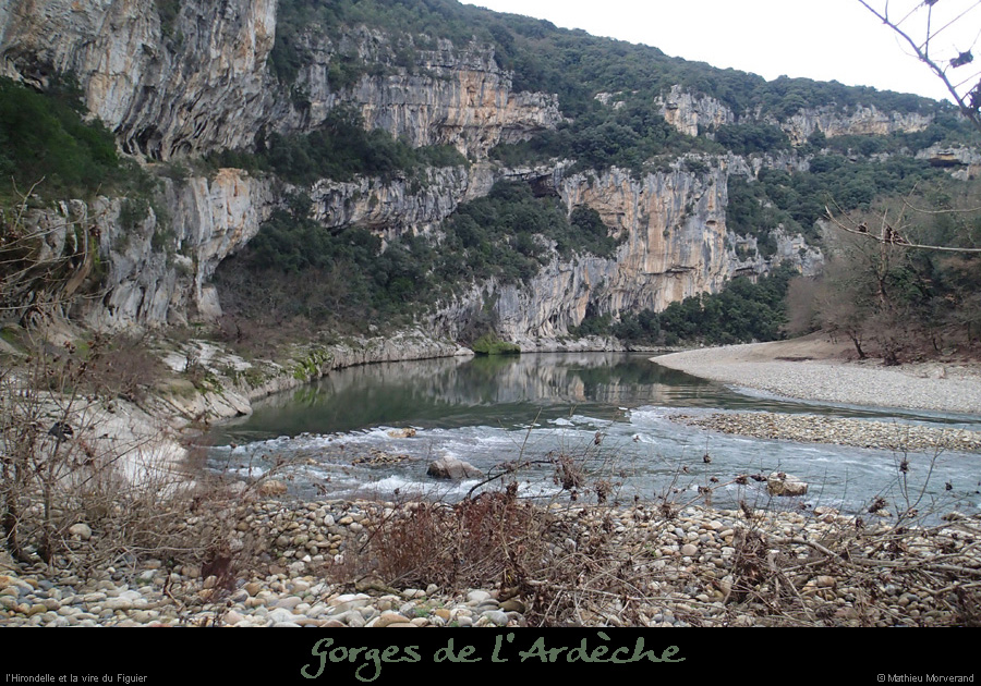 20160103_hirondelleparav1