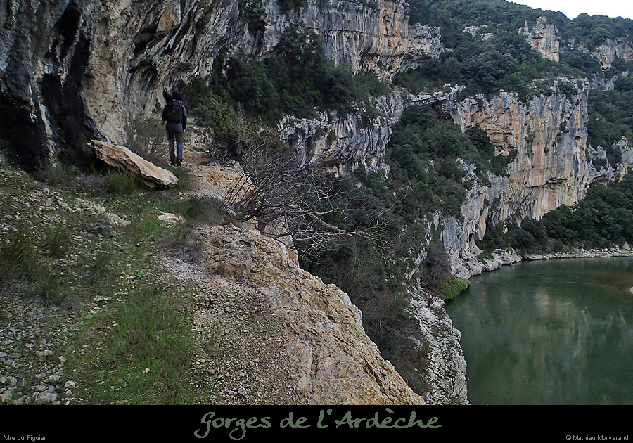 20160103_virefiguier04