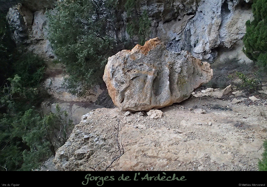 20160103_virefiguier22