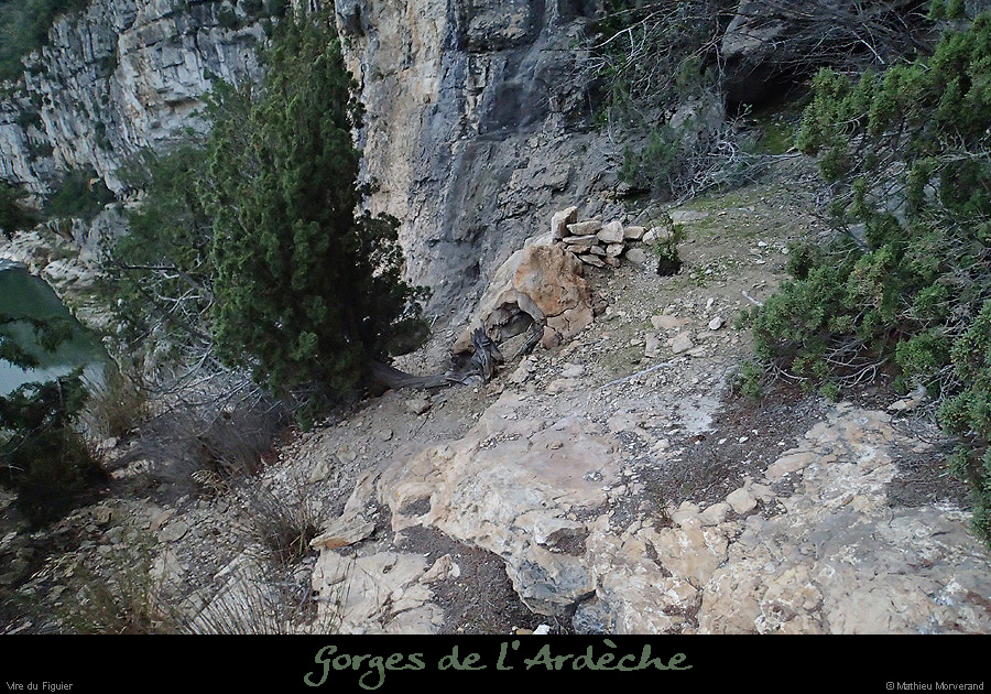 20160103_virefiguier26