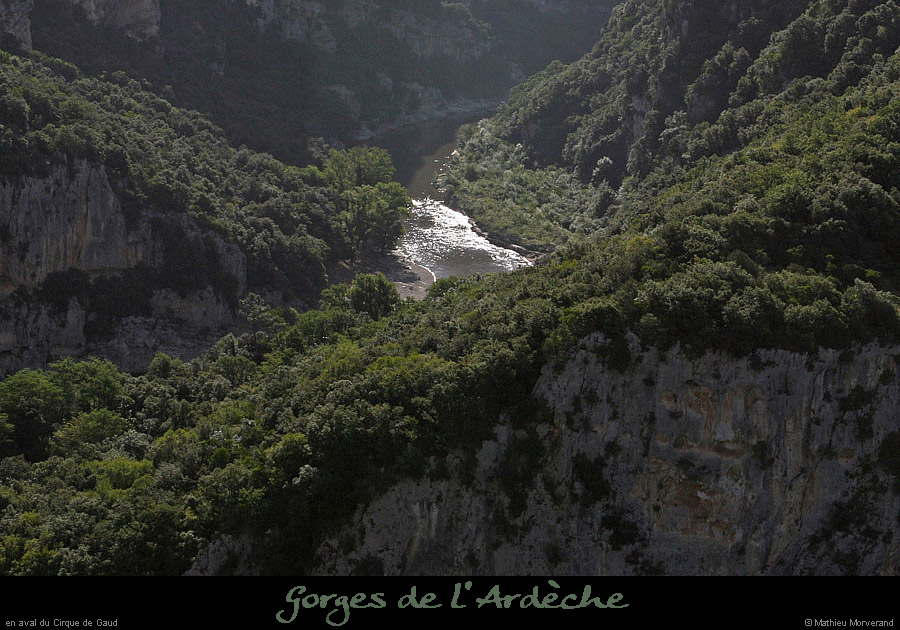 20080814_023gaud