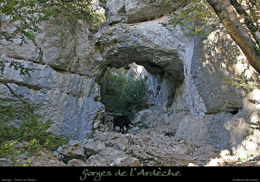 20050102_archessautridge1