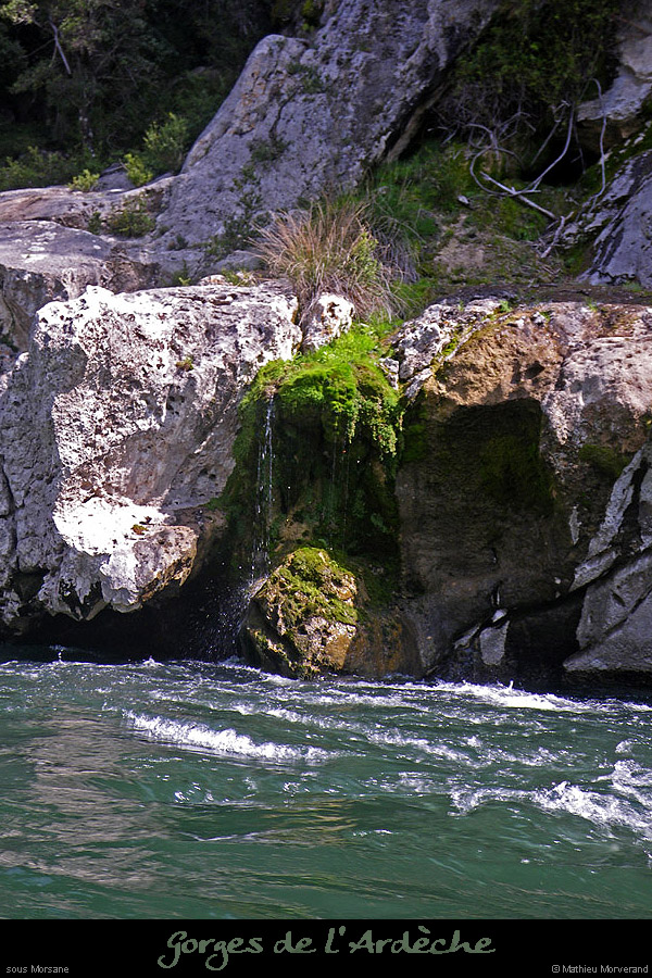 20100411_ssmorsanne3