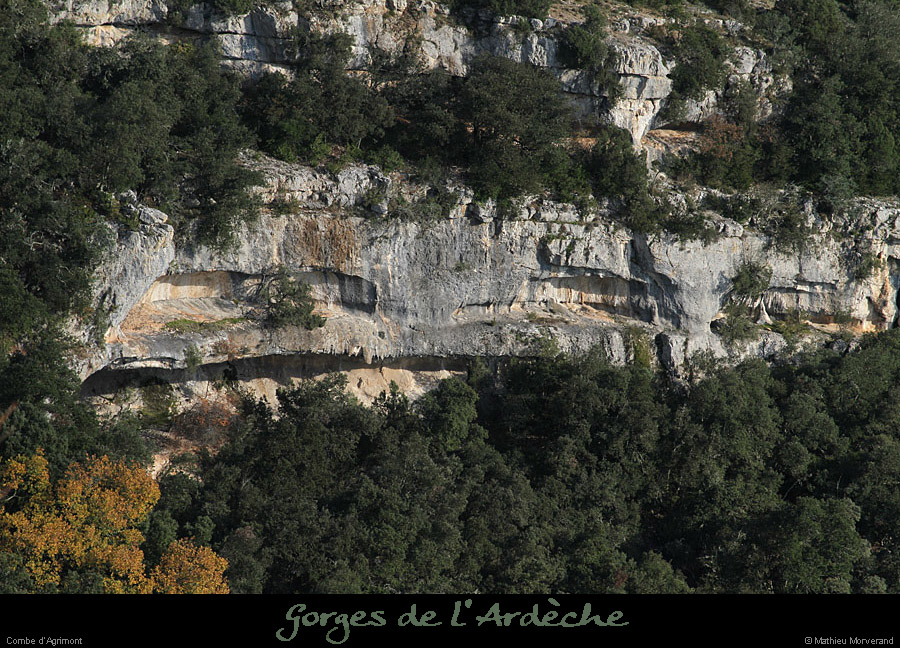 20111204_combedagrimont