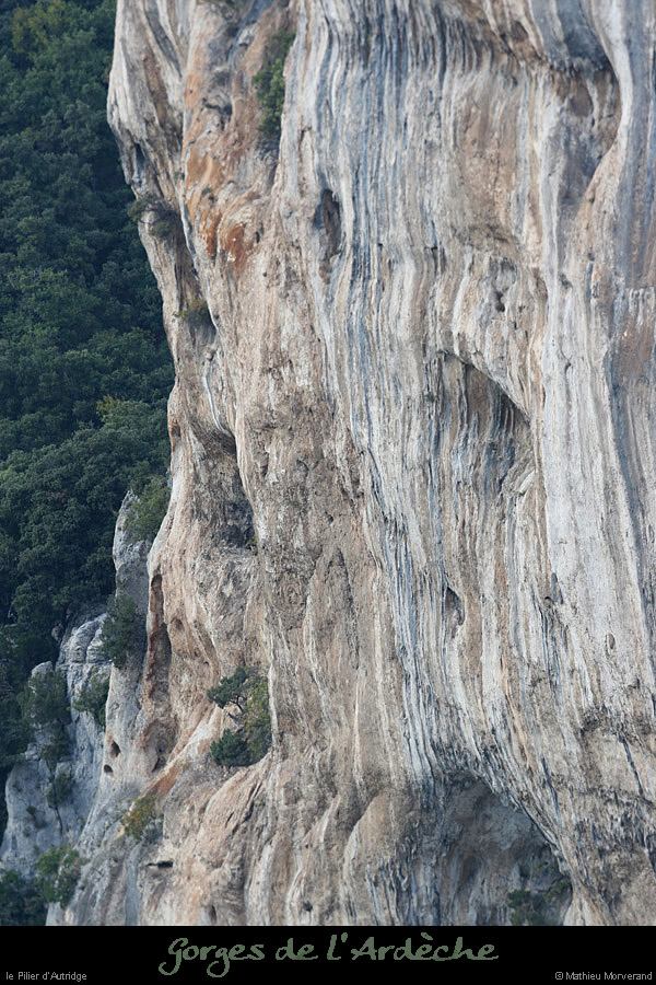 20080927_autridgepilier1