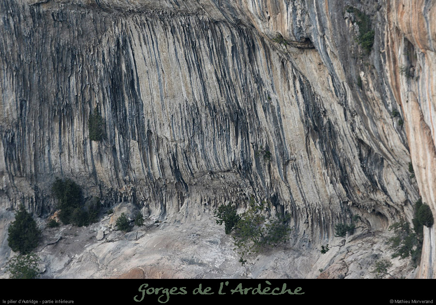 20080927_autridgevire
