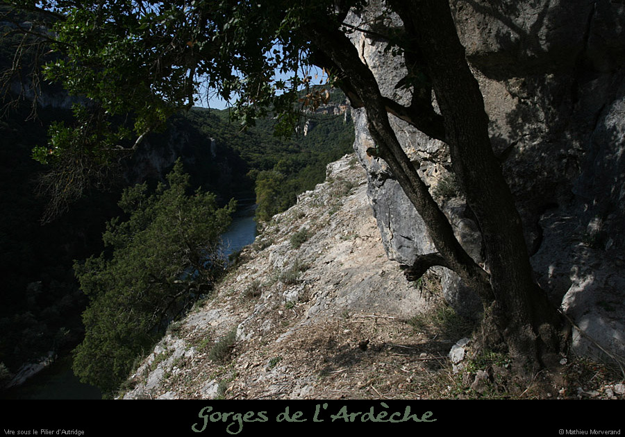 20101002_autridgeg_66