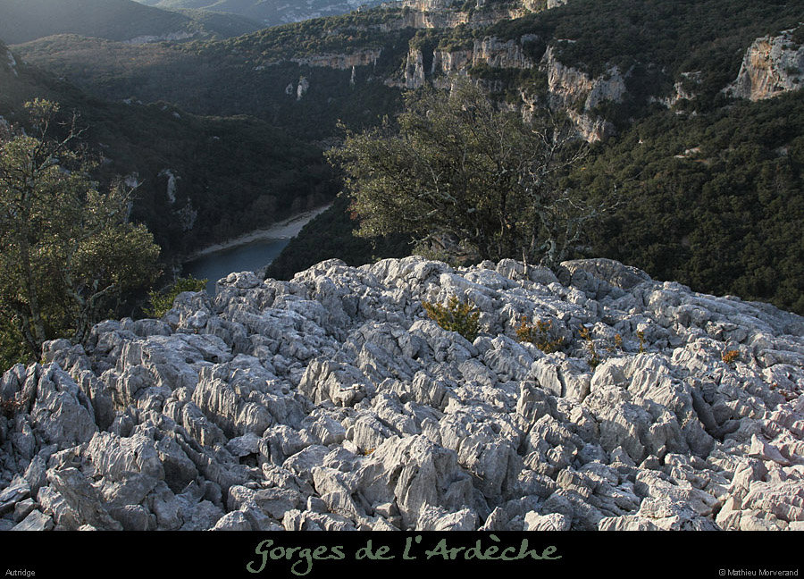 20111229_autridge_lapiazsommet2