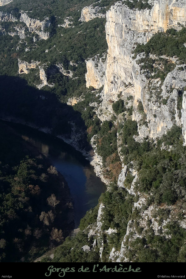 20121223_autridgedepuisbalconplatane2