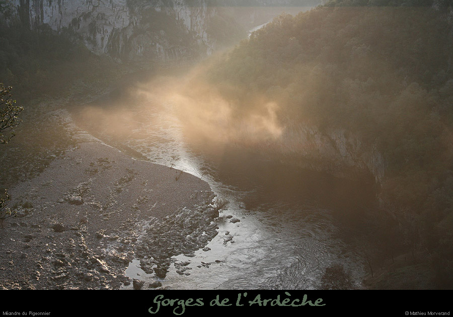 20061203_platane3