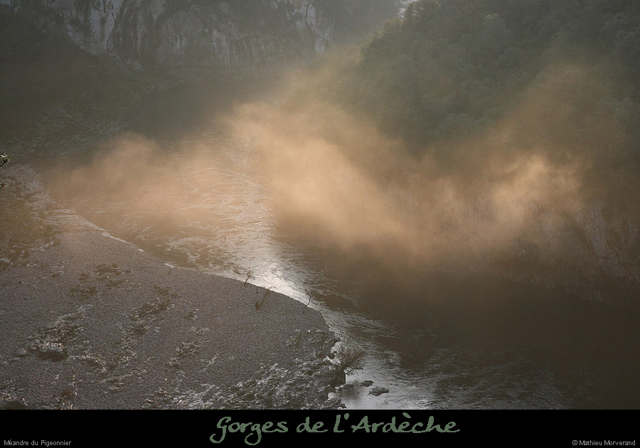 20061203_platane4