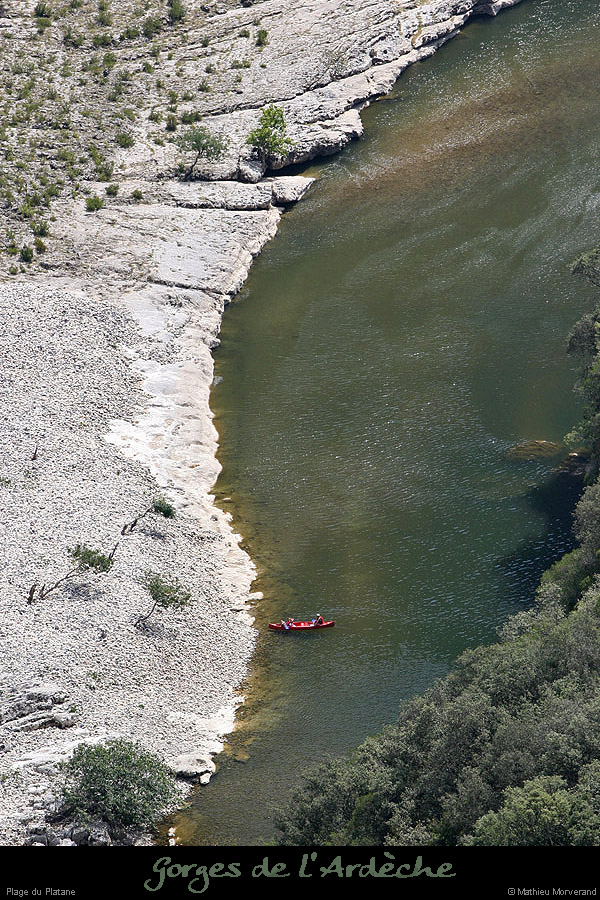 20070815_platane