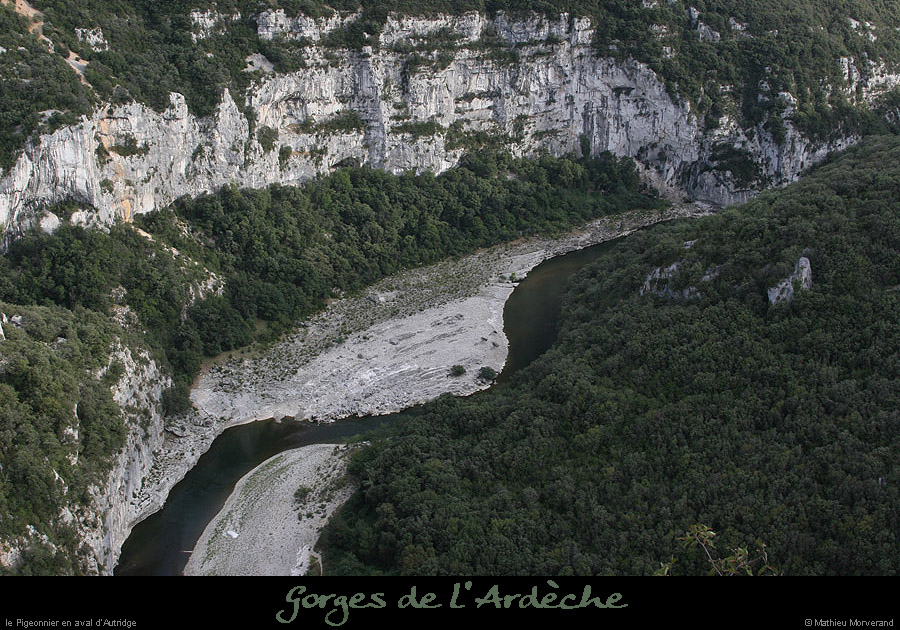 20070820_platane