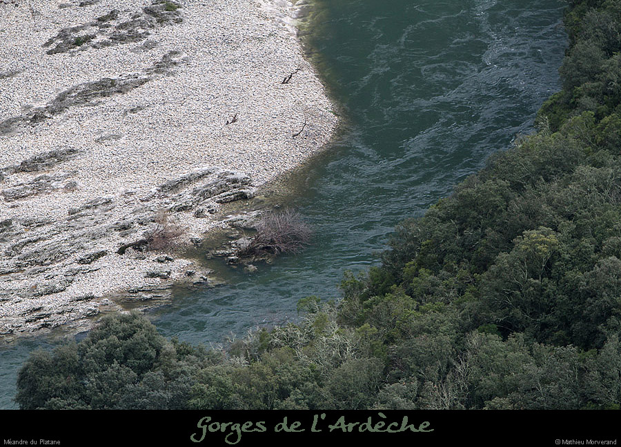 20130330_meandreplatane1