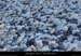 20050102_platane5