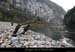 20061203_platane8