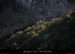 20111229_meandresspigeonnier1
