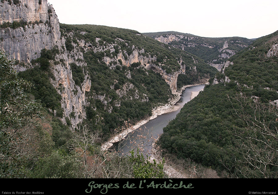 20041226_abeilleres