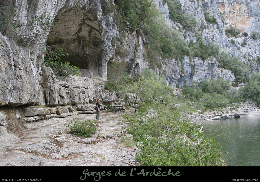 20060812_abeilleresavrd2