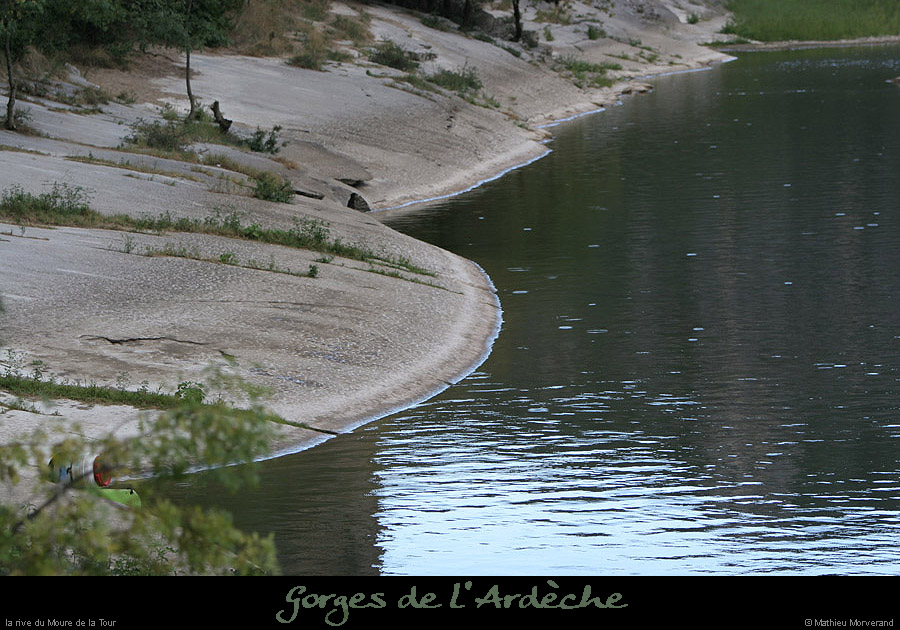 20060812_abeilleresrd