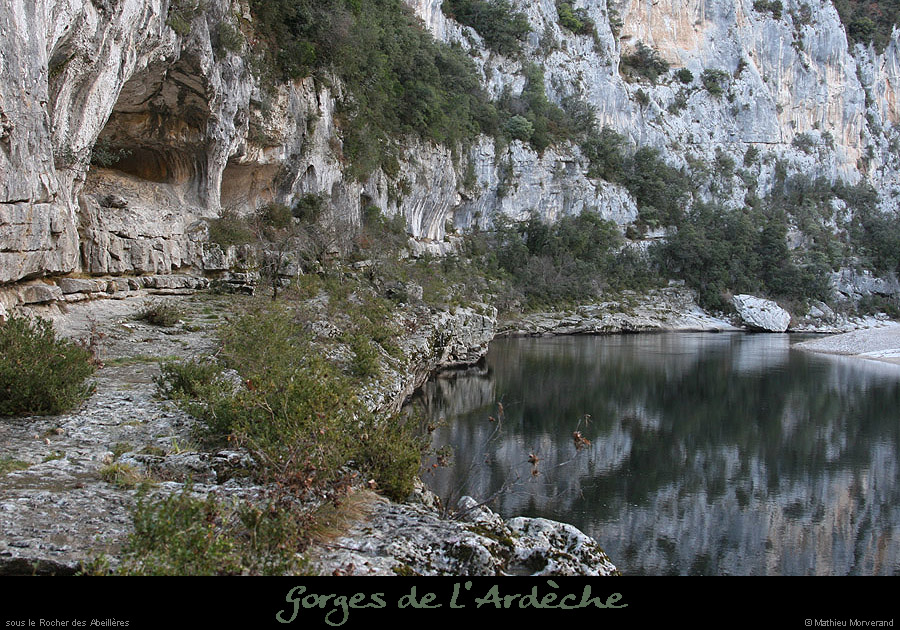 20071209_abeilleres_falaises