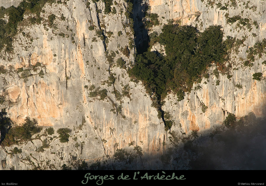 20091227_abeilleres4