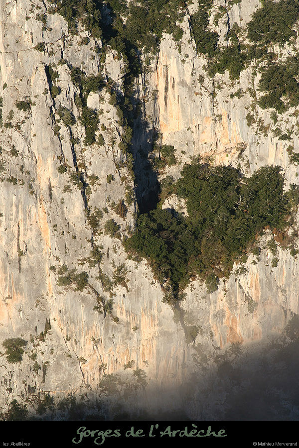 20091227_abeilleres5