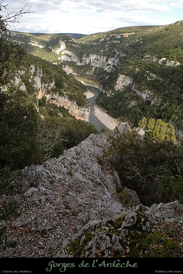 20140301_cornicheabeilleres1