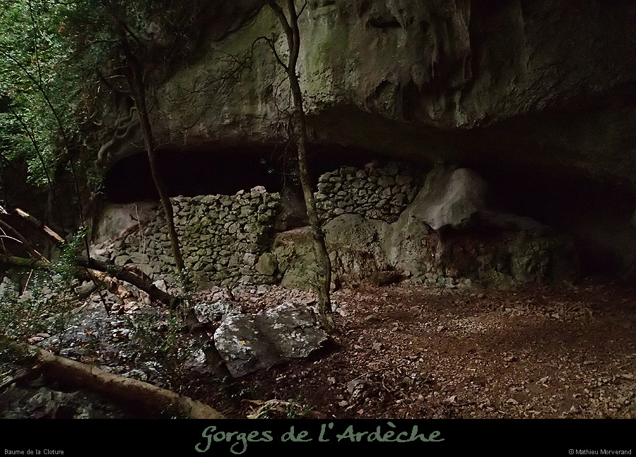 20151226_cloturebaume1