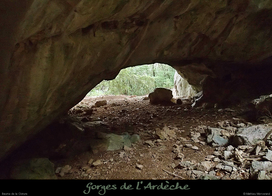 20151226_cloturebaume2