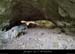 20140405_grottecloture_entreebasse1
