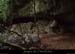 20151226_cloturebaume1