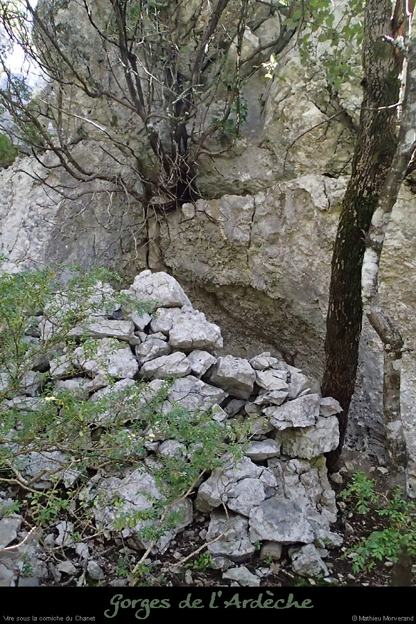 20140323_29