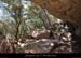 20150406_cornichechanet2