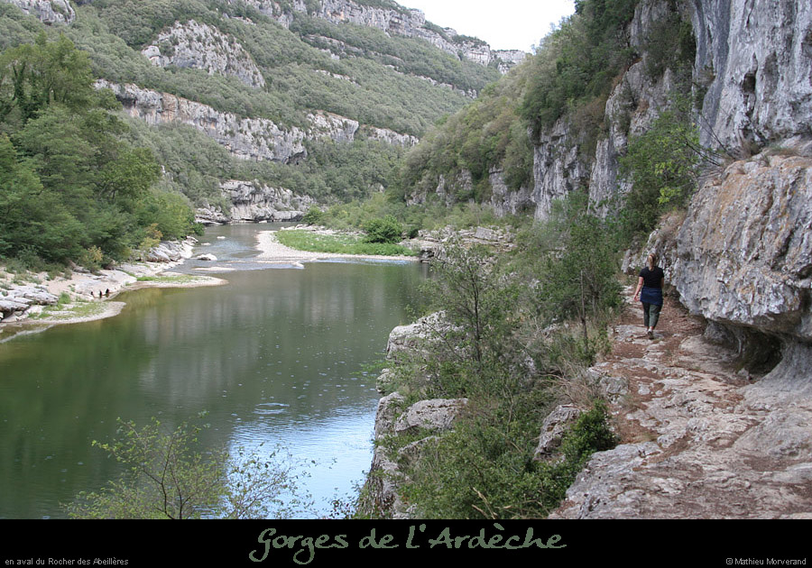 20060812_abeilleresavrd1