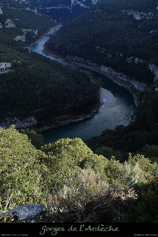 20140301_meandrechanetdecornicheabeilleres4