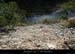 20140405_meandreavabeilleresdepuissentierchanet4