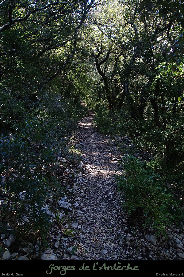20140323_08