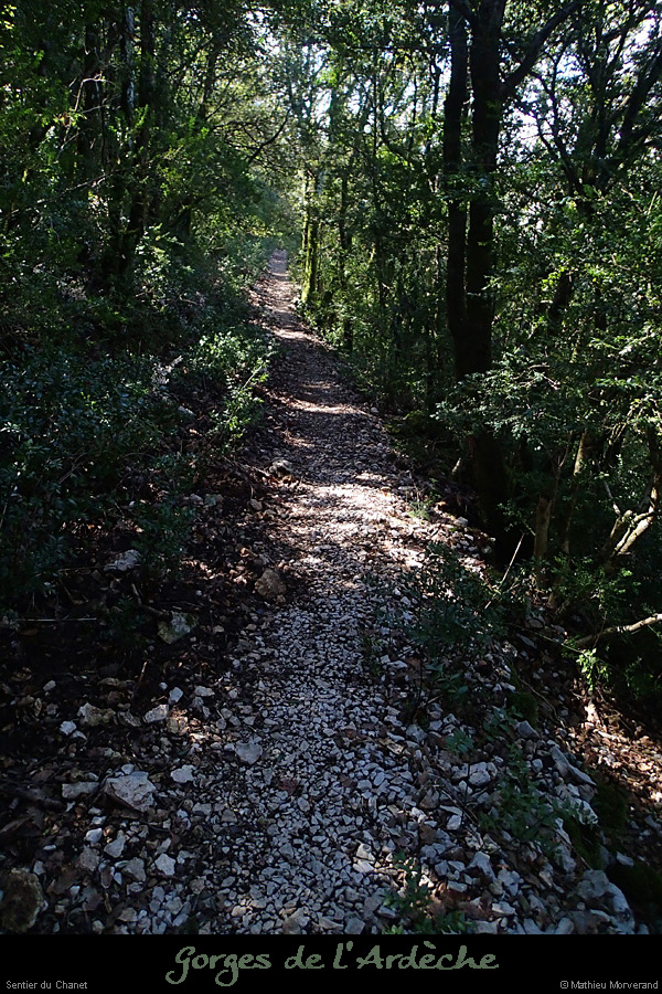 20140323_09