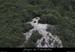 20070722_chanet2