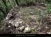 20140405_pentessslesrefractaires_charbonniere