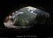 20140301_baumesfourromains16