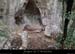 20140301_baumespresfourromaindecornicheabeilleres2