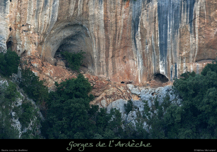 20080927_baumessabeilleres